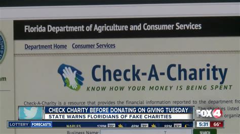 charity number check|how to check a charity status.